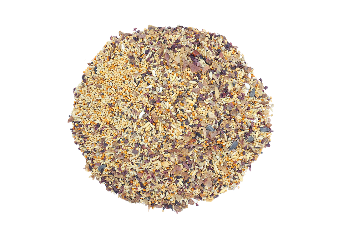 SING&SONG WILDWINGS FOOD For Budgie 500g