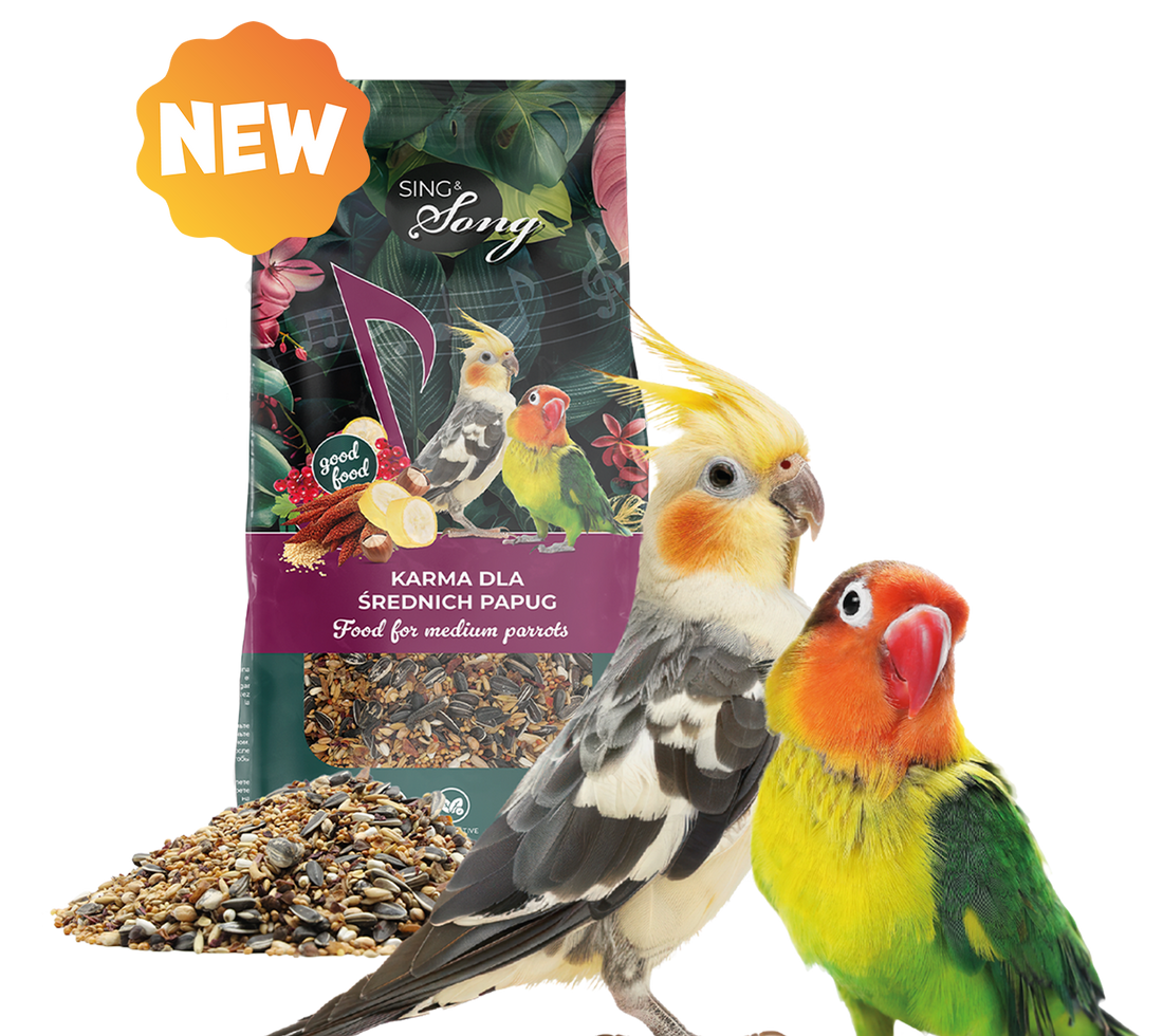SING&SONG WILDWINGS FOOD For Medium Parrots 500g