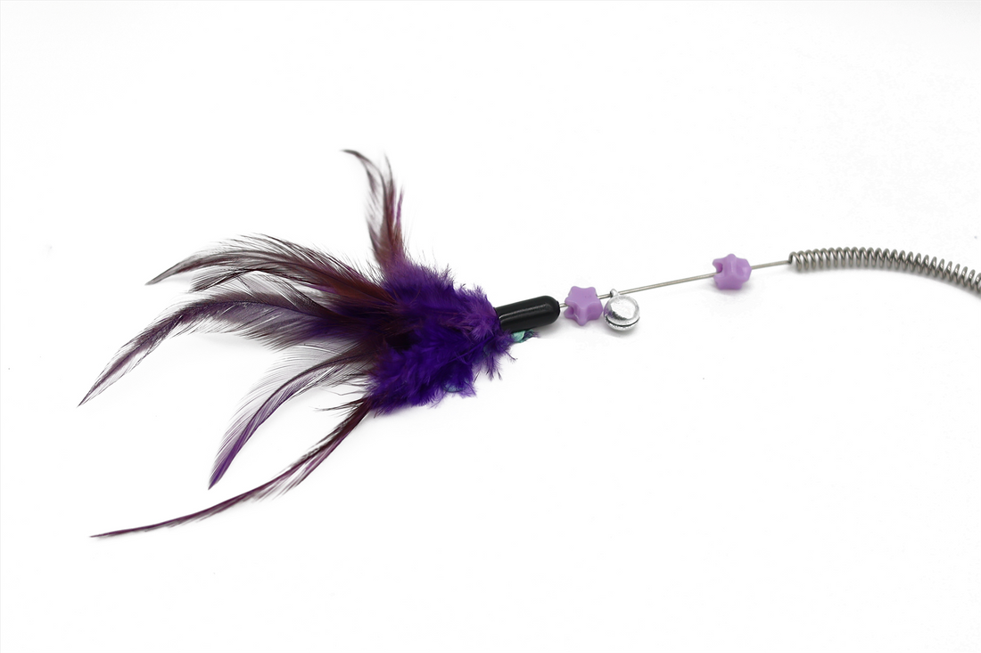 UNIQ PETS CAT TOY SWISHY Fishing Rod with Multi-Colored Feather and Spring 60cm (Random Colour)