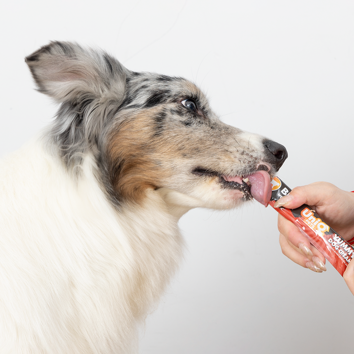 UNIQ PETS Yummy Dog Cream with Beef
