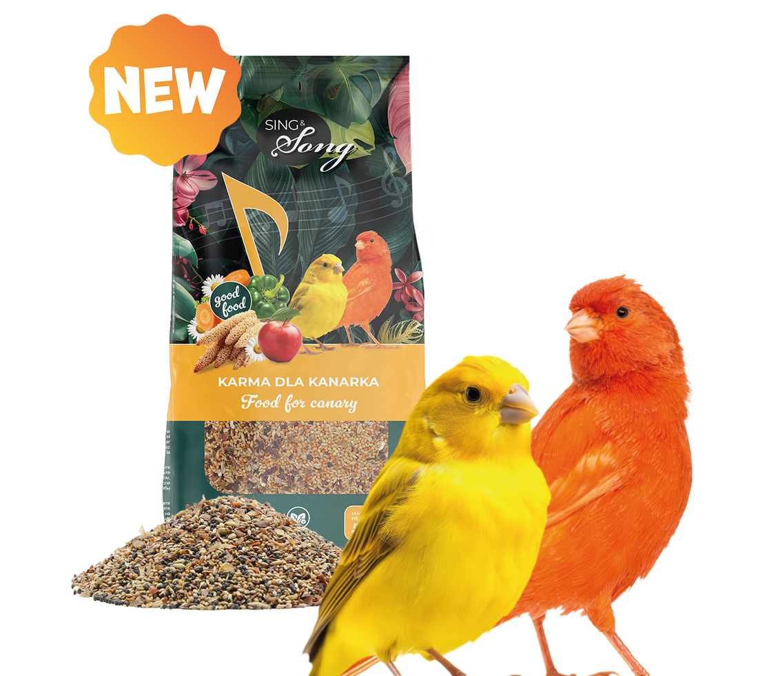 SING&SONG WILDWINGS FOOD For Canary 500g