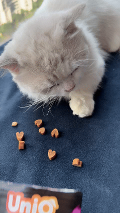 UNIQ PETS Cat Snacks Anti-Hairball Soft Hearts With Chicken 50g