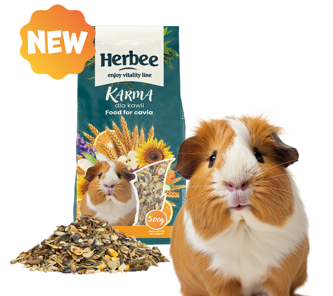 HERBEE RODENSROOT FOOD For Guinea Pig/Cavia 500g
