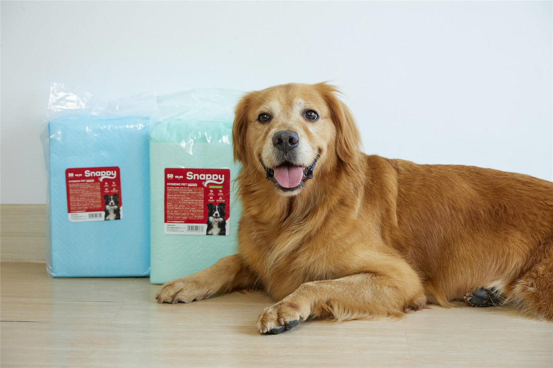 SNAPPY HYGIENIC PET PADS PAWDRY blue 45x60cm 22g, 20 pcs/bag