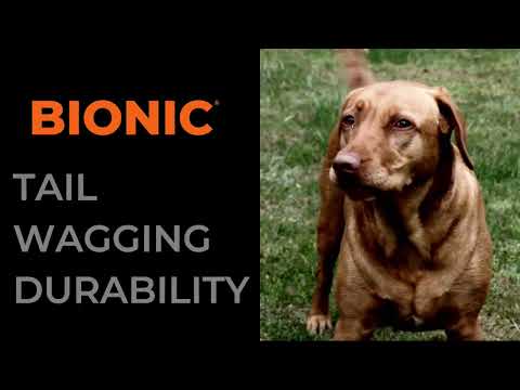 BIONIC Ball Dog Toy