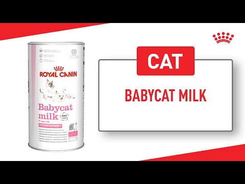 Royal Canin Babycat Milk 300g