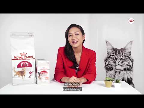 Royal Canin Fit