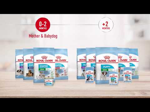 Royal Canin X-Small Puppy 1.5kg