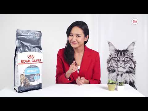 Royal Canin Urinary Care Pouch in Gravy