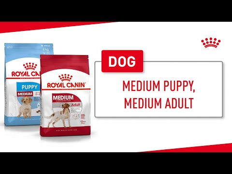 Royal Canin Medium Puppy 3kg