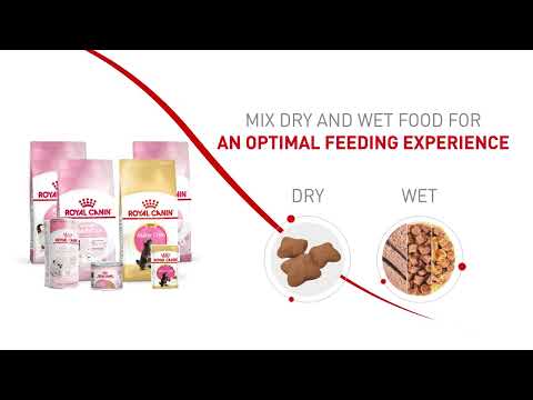 Royal Canin Kitten