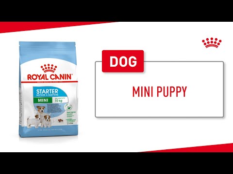 Royal Canin Mini Puppy