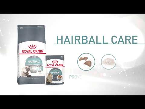Royal Canin Hairball Care Pouch in Jelly