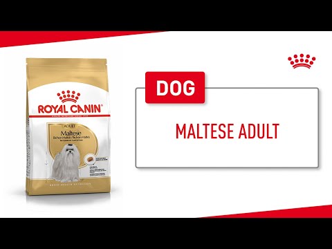 Royal Canin Maltese Adult 1.5kg