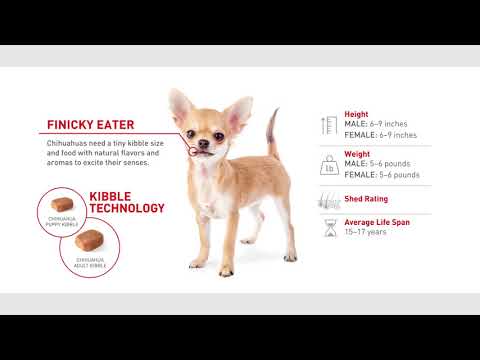 Royal Canin Chihuahua Adult 1.5kg