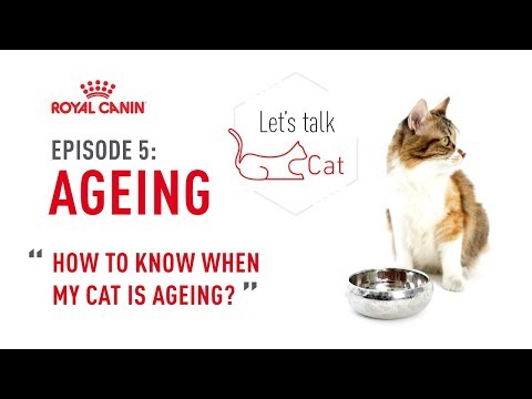 Royal Canin Ageing 11+