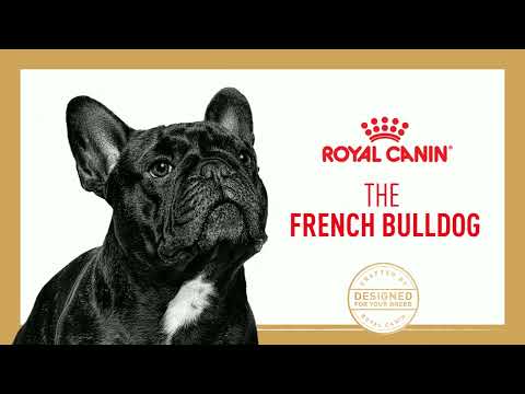 Royal Canin French Bulldog Puppy 3kg