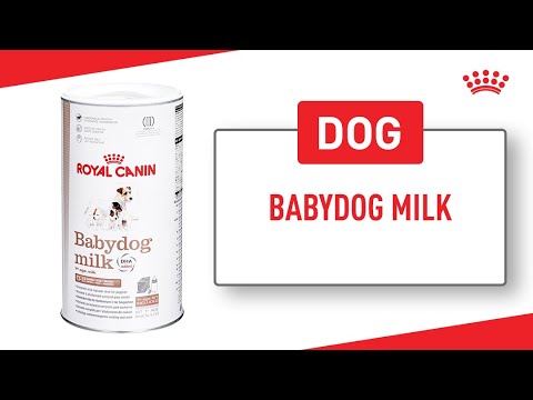 Royal Canin Babydog Milk 400g