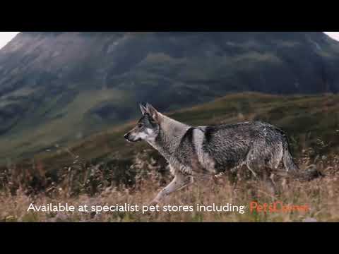 Canagan Dog Tin Puppy Feast 400g