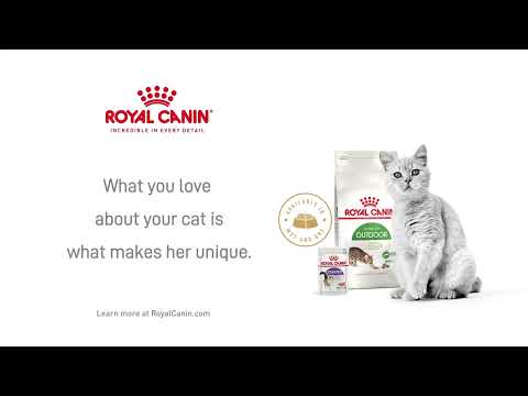 Royal Canin Outdoor 7+ 2kg