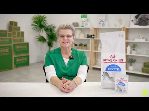 Royal Canin Indoor Sterilised Pouch in Jelly