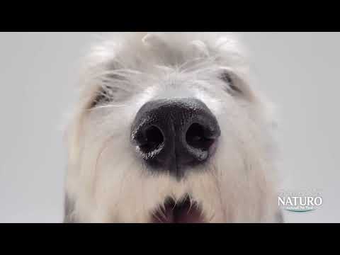 Naturo Senior Dog Turkey With Rice And Vegetables 400g