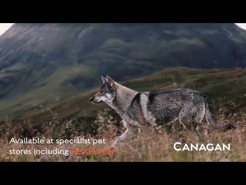 Canagan Dog Free Run Turkey Dental For Puppies & Adults 2kg