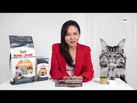 Royal Canin Hair & Skin Care Pouch in Jelly