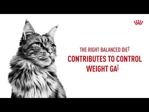 Royal Canin Sterilised Pouch in Jelly