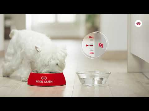 Royal Canin Sterilised Loaf 85g