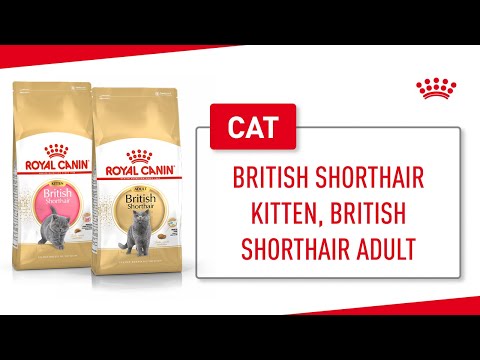 Royal Canin British Shorthair Kitten 2kg