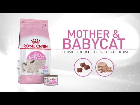 Royal Canin Mother & Babycat Mousse 195g