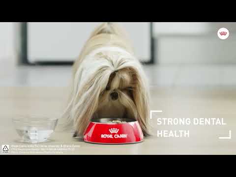 Royal Canin Shih Tzu Puppy 1.5kg