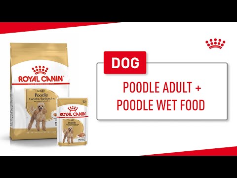 Royal Canin Poodle Adult 1.5kg
