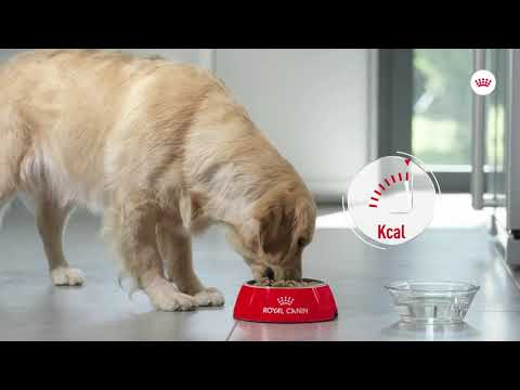 Royal Canin Medium Light Weight Care 3kg