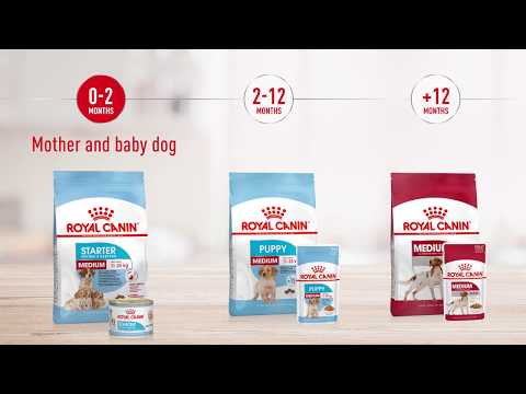Royal Canin Medium Ageing In Gravy Pouch 140g