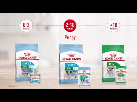 Royal Canin Mini Puppy In Gravy Pouch 85g