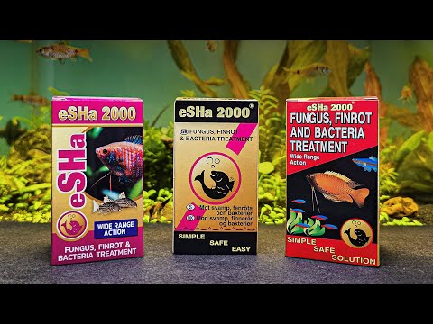 ESHa 2000 20ml