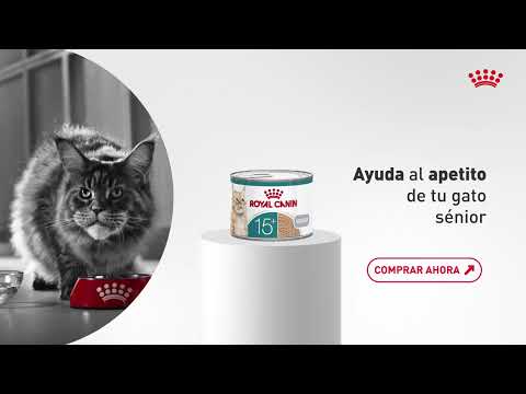 Royal Canin Ageing 15+ Mousse