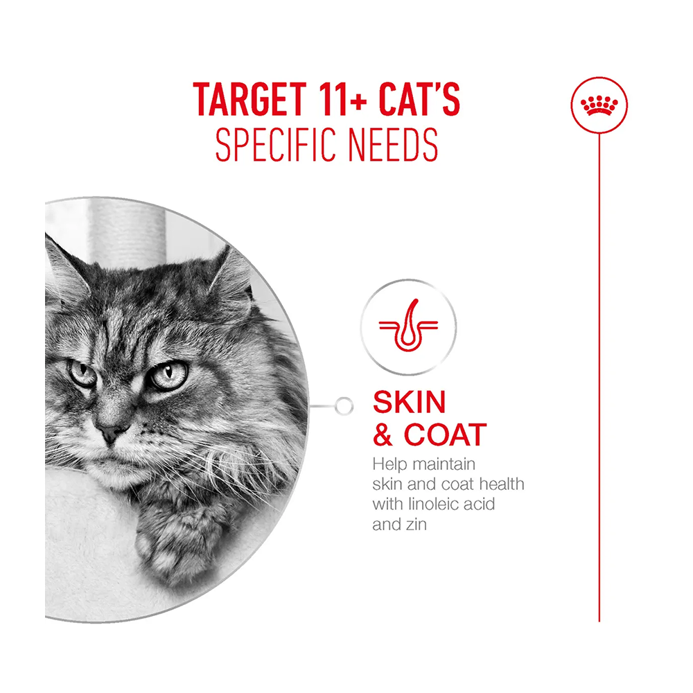 Royal Canin Ageing 11+