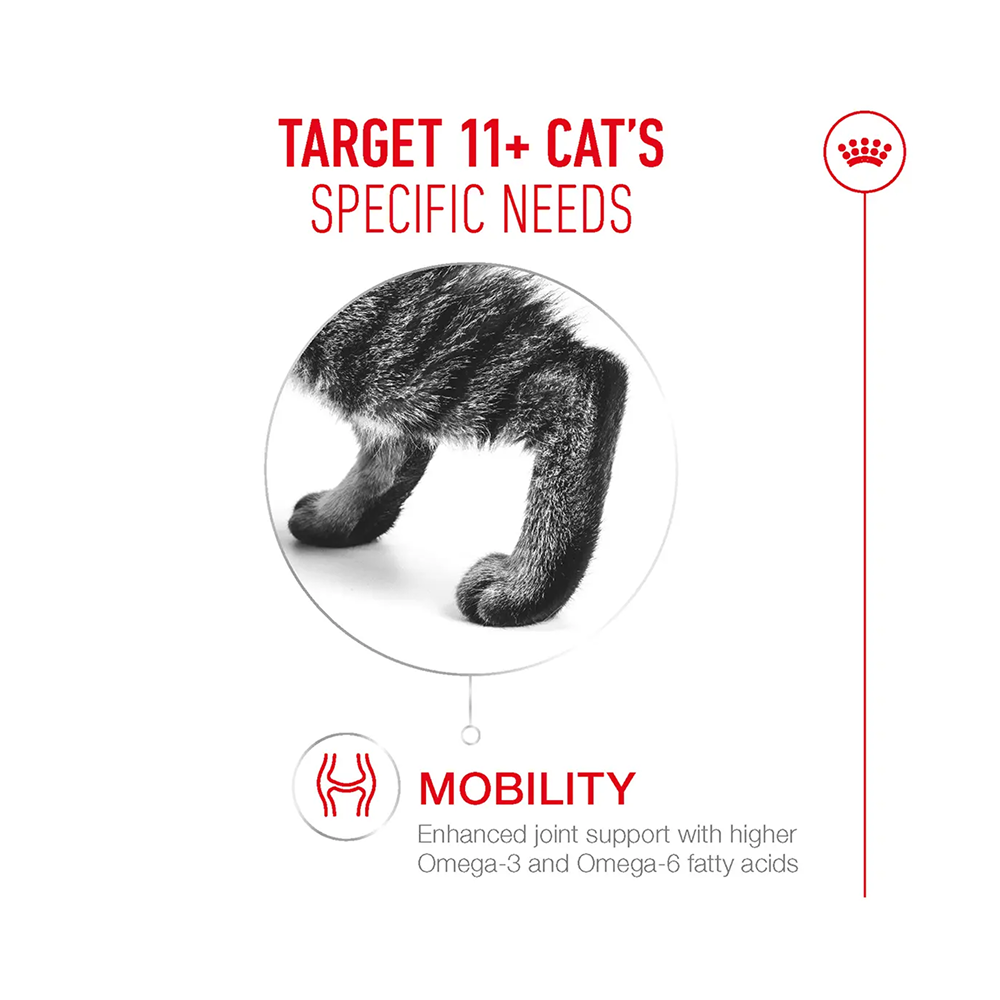 Royal Canin Ageing 11+