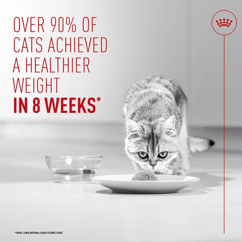 Royal Canin Light Weight Care AirLift™ Mousse