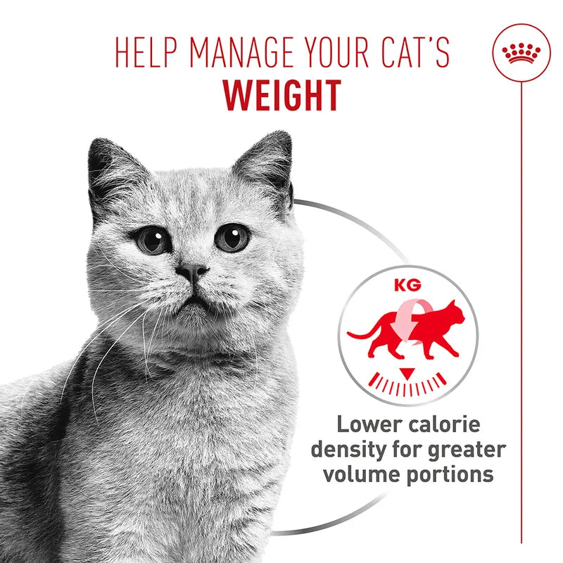 Royal Canin Light Weight Care AirLift™ Mousse