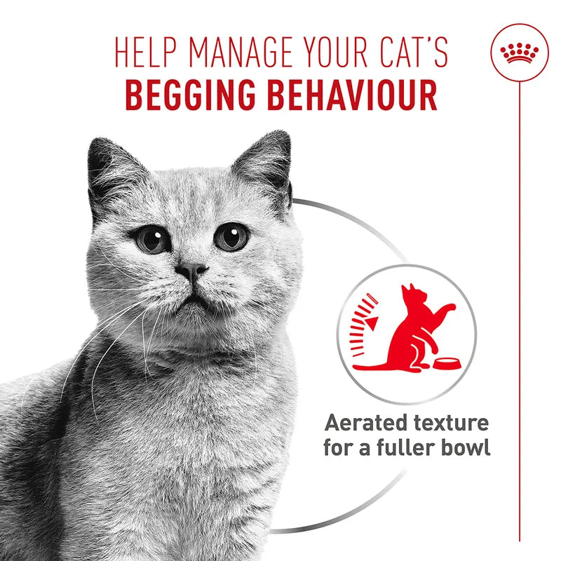 Royal Canin Appetite Control Care AirLift™ Mousse