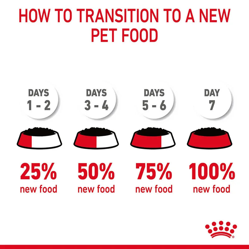 Royal Canin Hair & Skin Care Pouch in Gravy