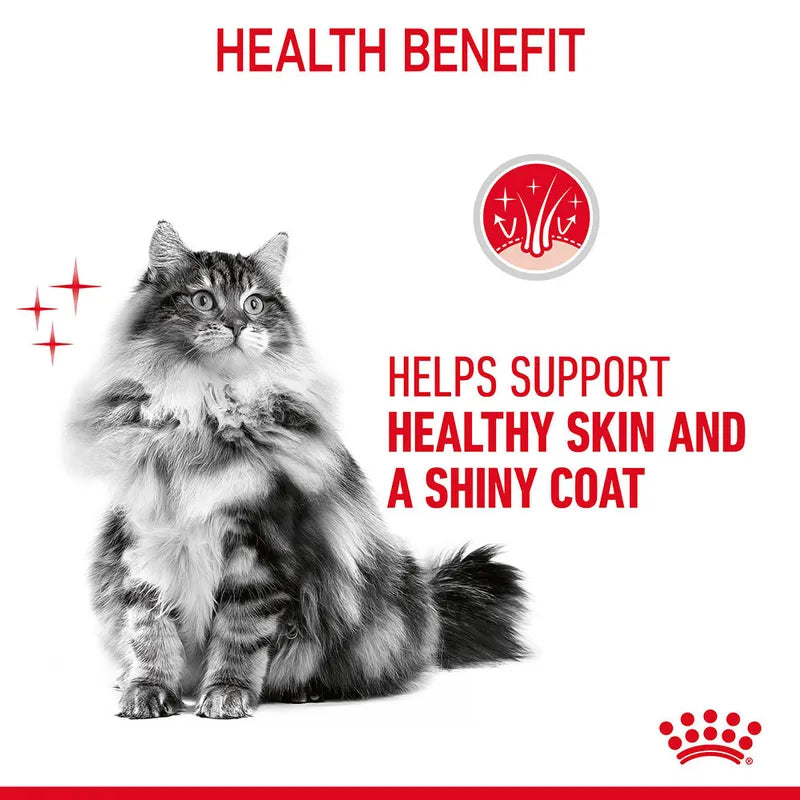 Royal Canin Hair & Skin Care Pouch in Gravy