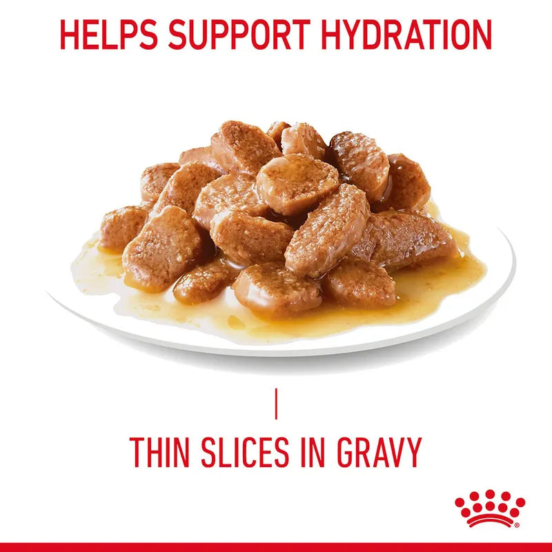 Royal Canin Hair & Skin Care Pouch in Gravy