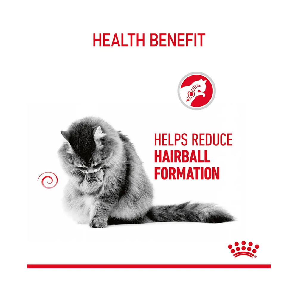 Royal Canin Hairball Care Pouch in Jelly