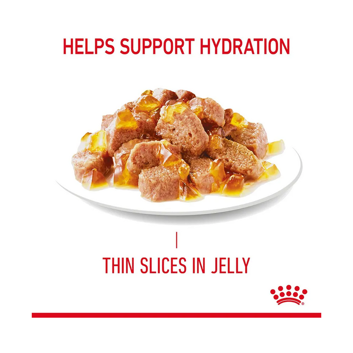 Royal Canin Hairball Care Pouch in Jelly