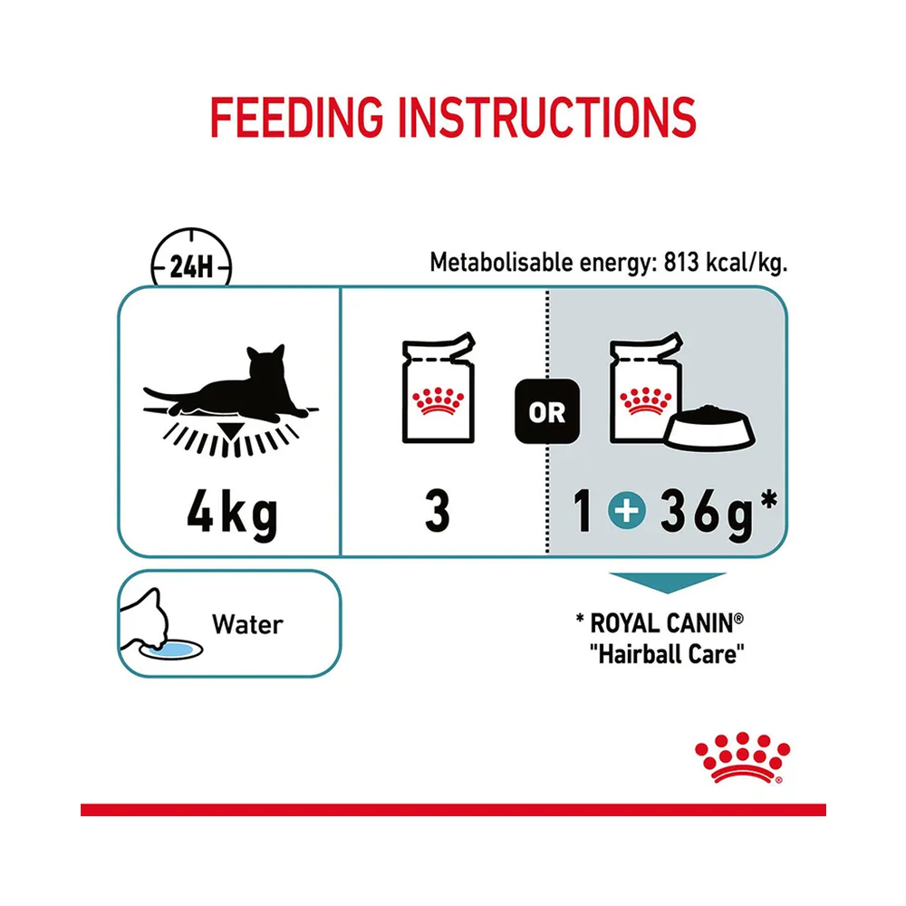 Royal Canin Hairball Care Pouch in Jelly
